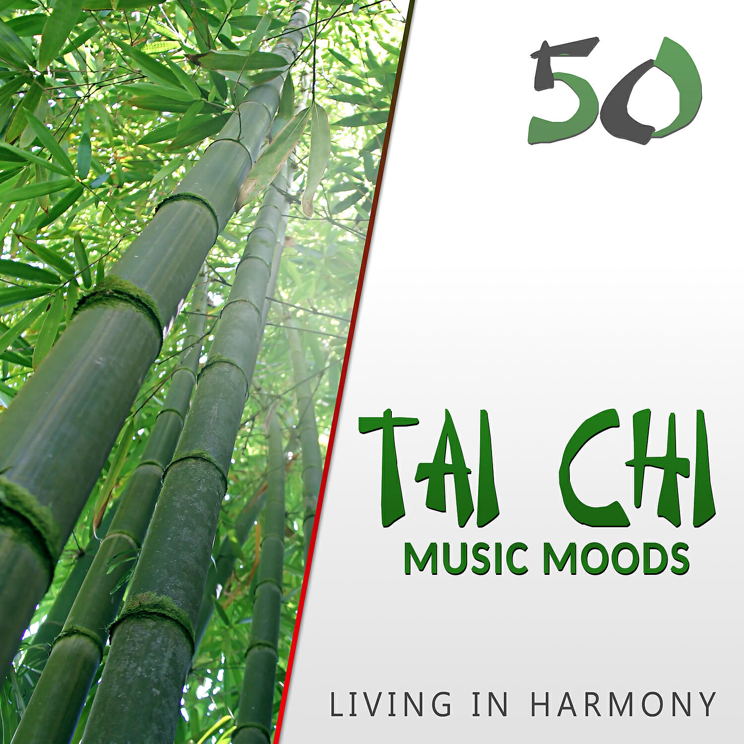 Tao Te Ching Music Zone - Increase Sensitivity & Vitality
