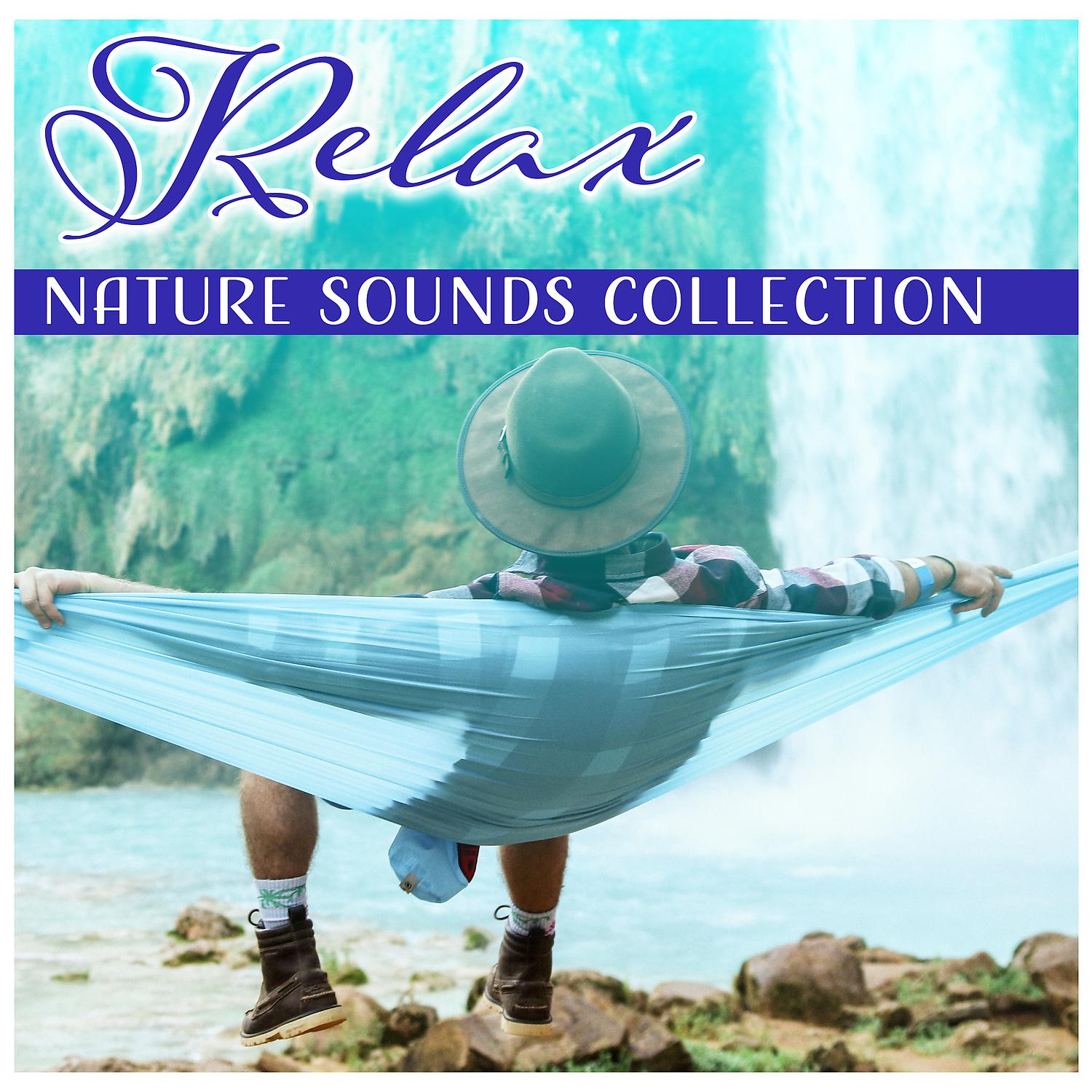 Постер альбома Relax: Nature Sounds Collection – 50 Relaxing Music & Soothing Sounds for Stress Relief, Deep Calm and Better Sleep