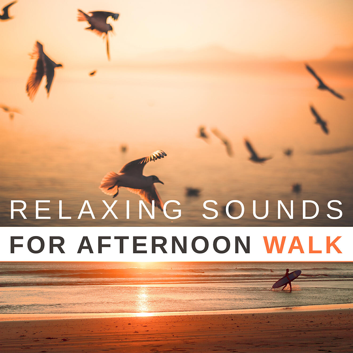 Calming Music Sanctuary - Soothing Sounds