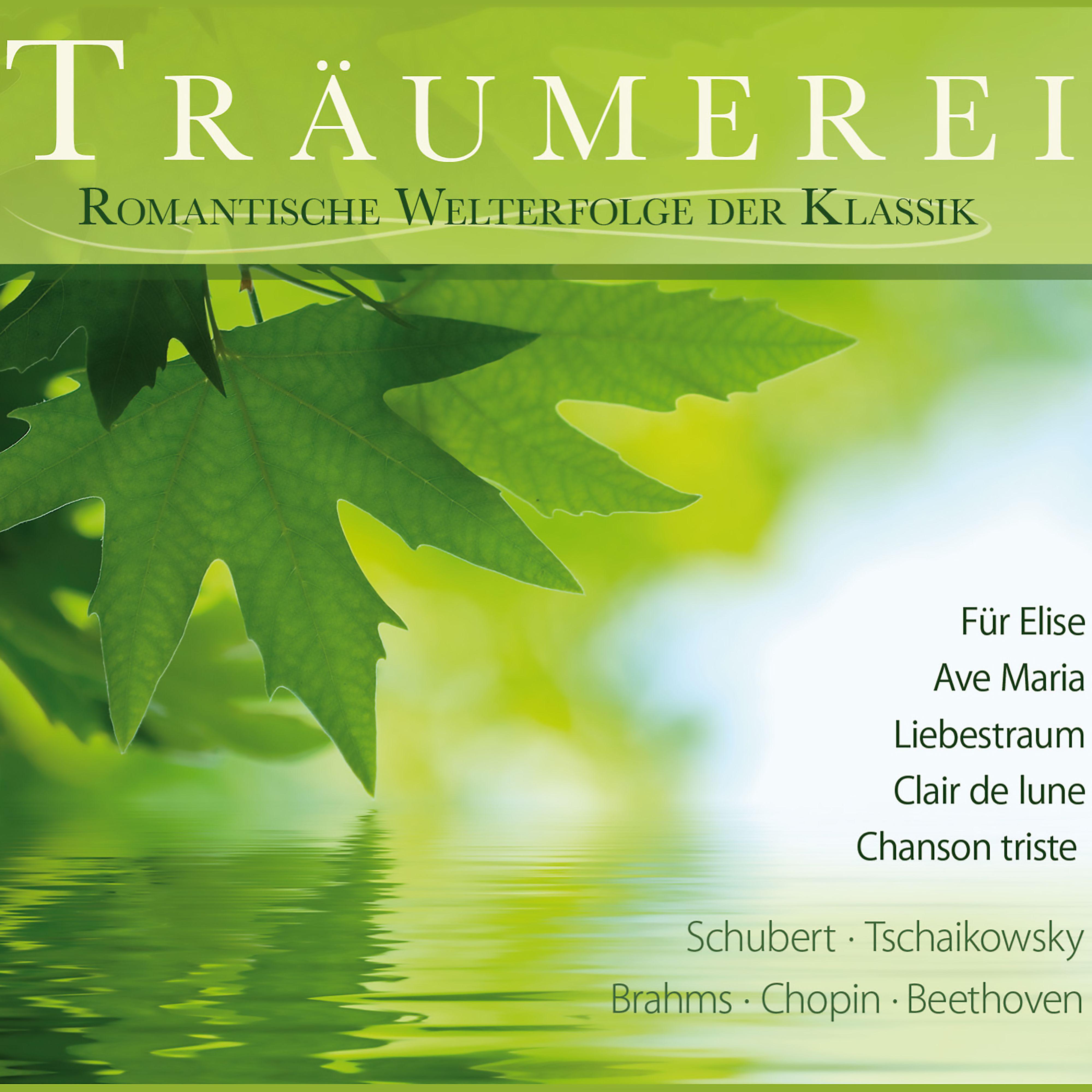 Постер альбома Träumerei - Romantische Welterfolge Der Klassik