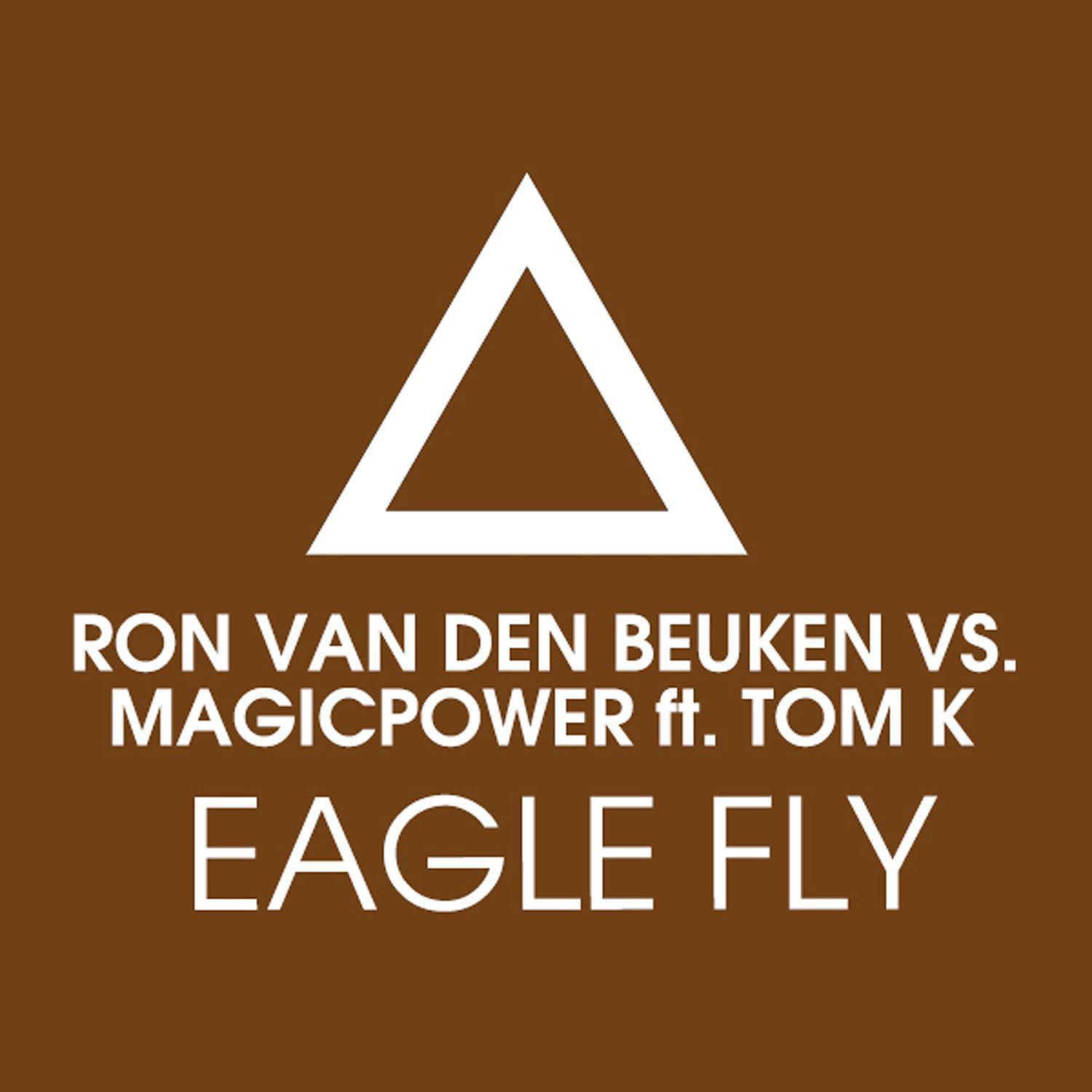 Постер альбома Eagle Fly (feat. Tom K.) [Remixes]