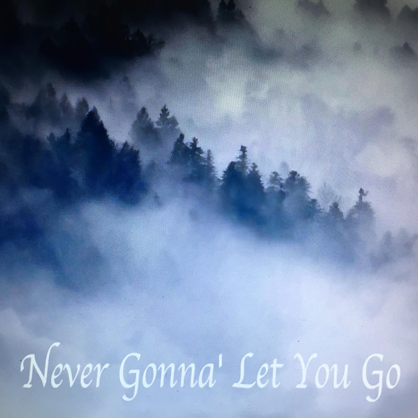 Постер альбома Never Gonna' let You Go (feat. Antoine Silverman)