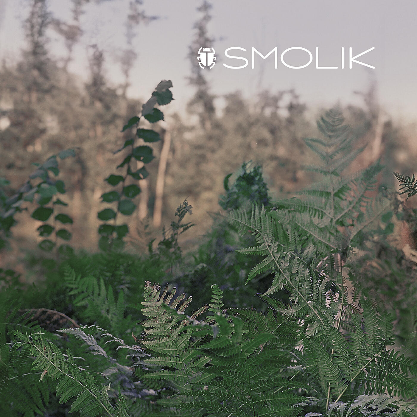 Smolik - Med 2