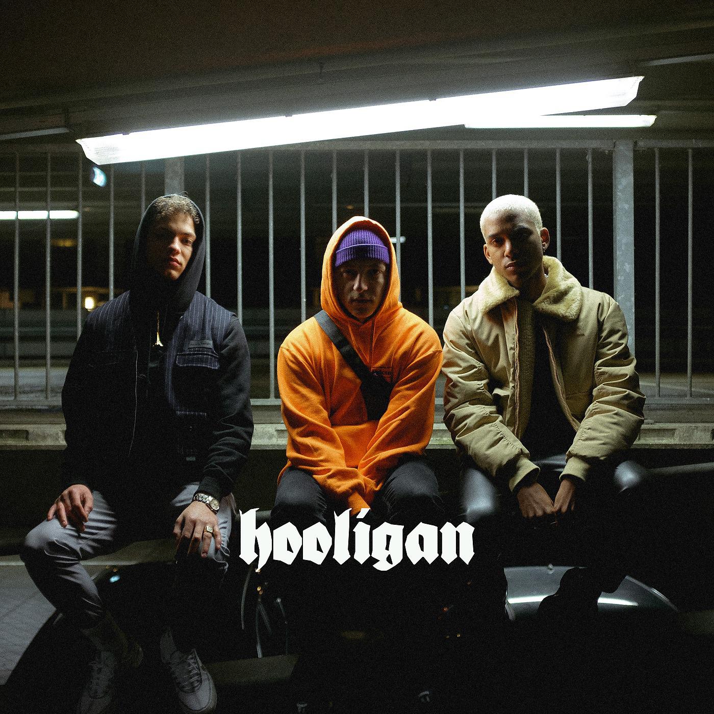 Постер альбома Hooligan (feat. Ros, Smitty & DMY)