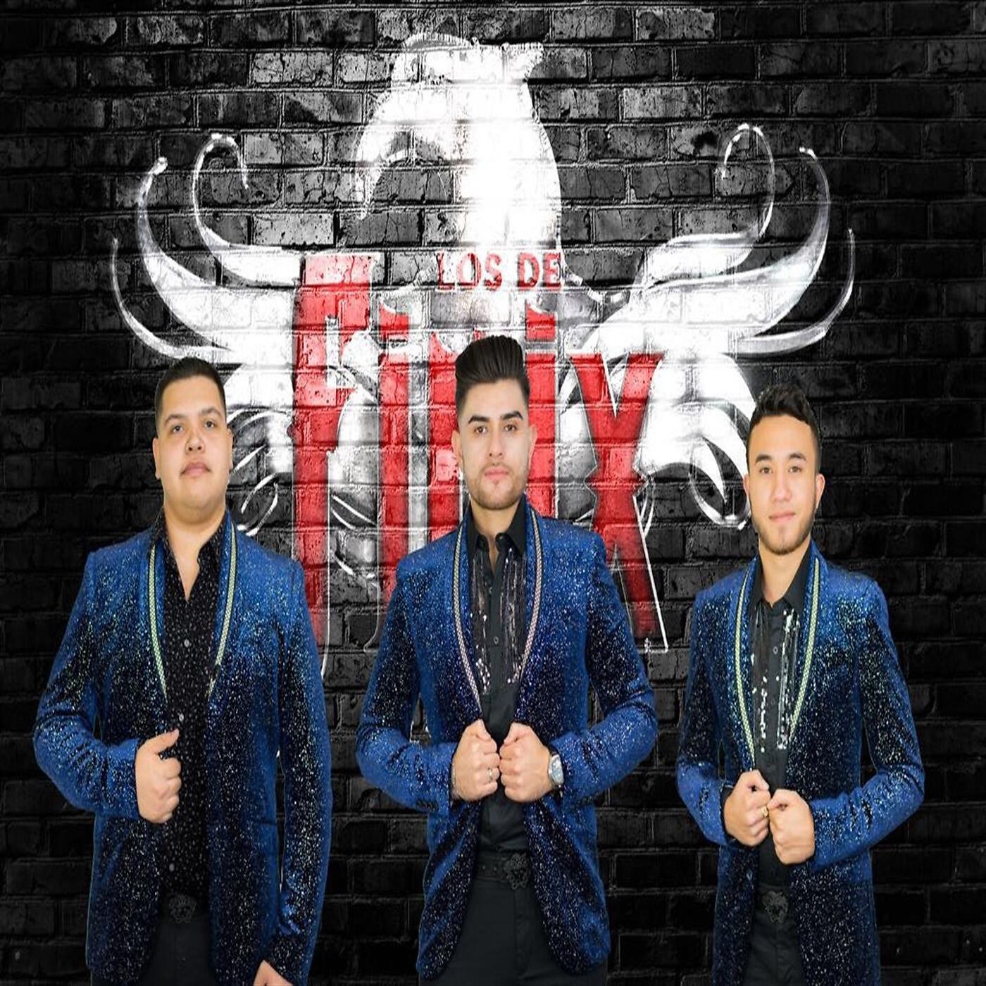 Los De Finix - La Carnita Asada