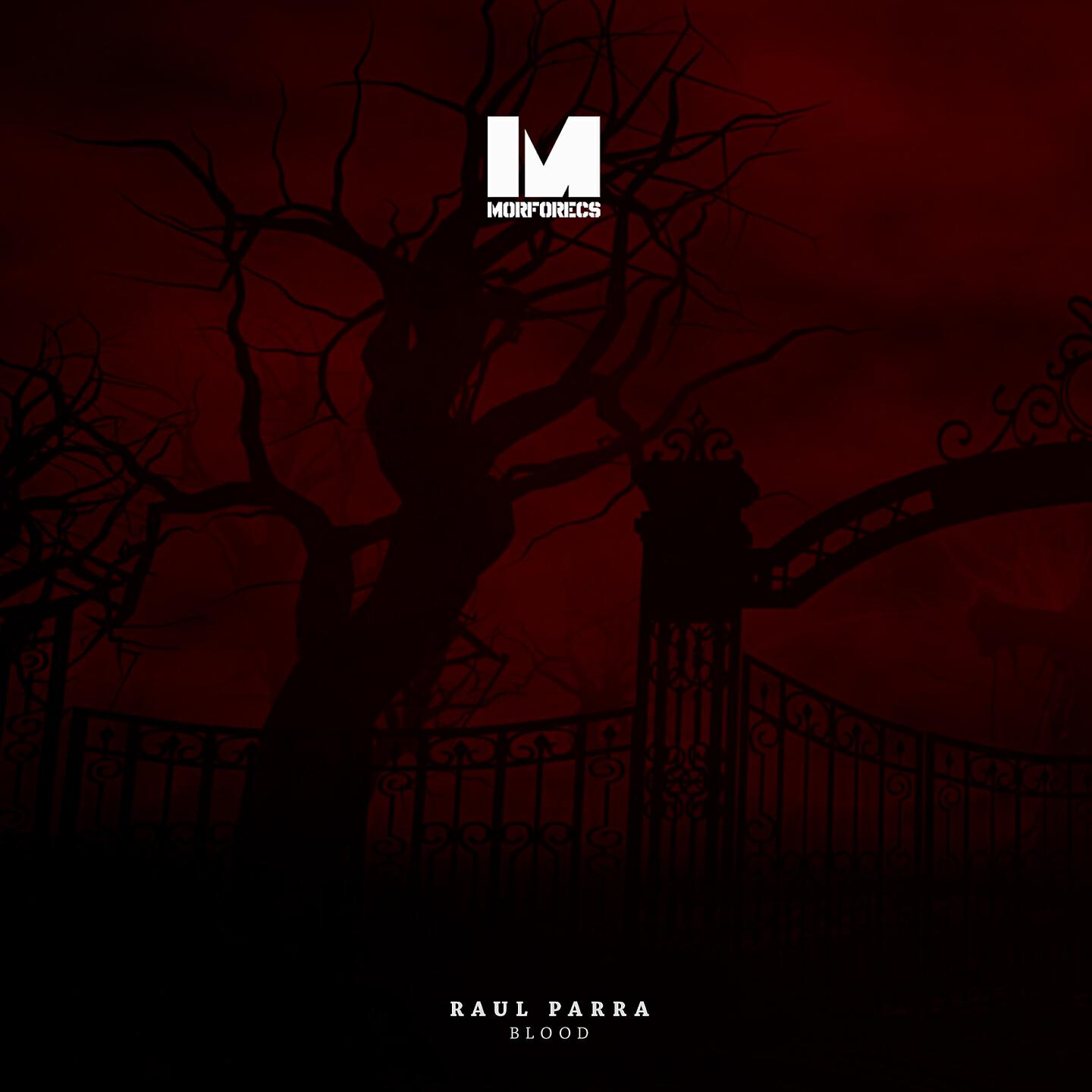 Raul Parra - Blood (Ethan Fawkes Remix)