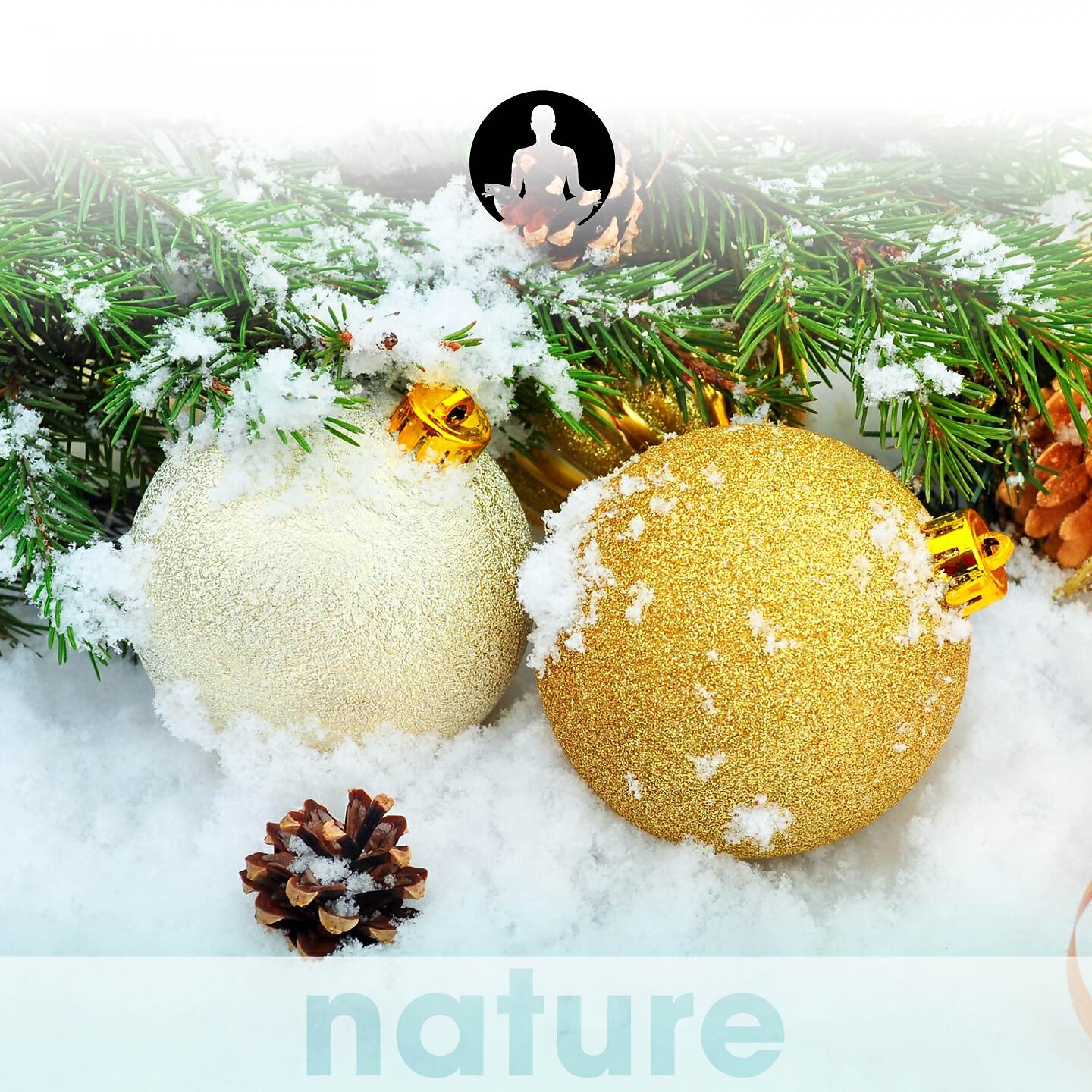 Nature's Harmony - We Three Kings