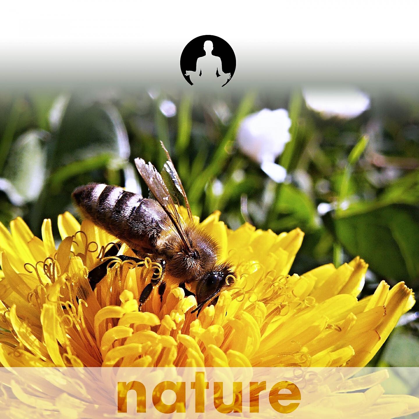 Nature's Harmony - Fandango