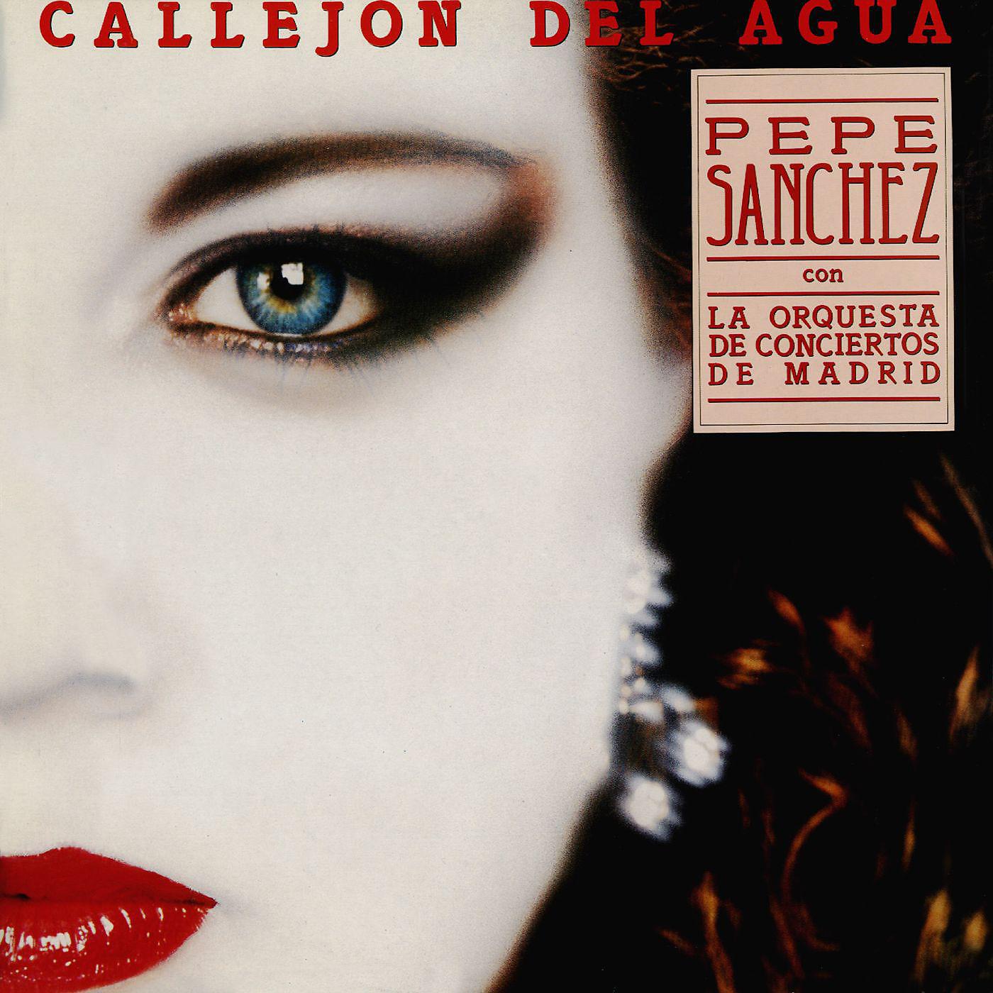 Постер альбома Callejón del agua