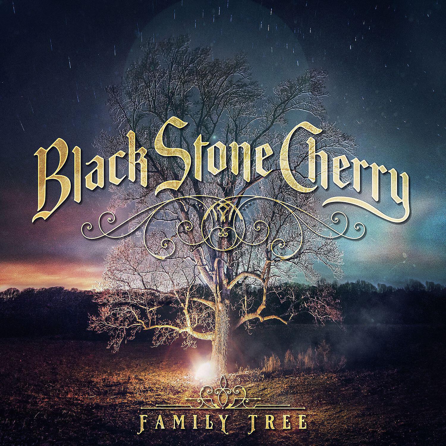 Black Stone Cherry - Dancin' In The Rain (feat. Warren Haynes)