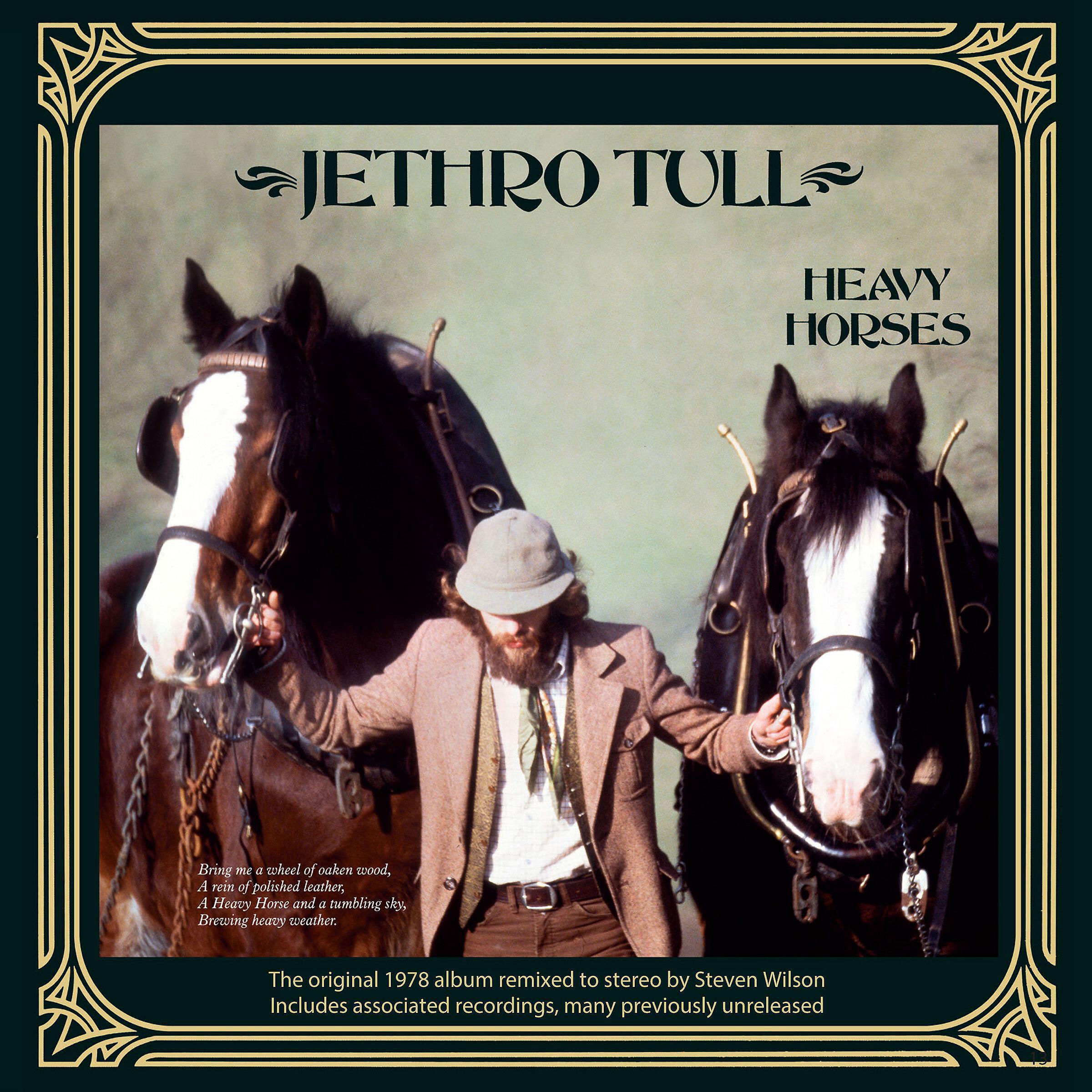 Jethro Tull - Botanic Man Theme / A Town in England (Steven Wilson Stereo Remix)