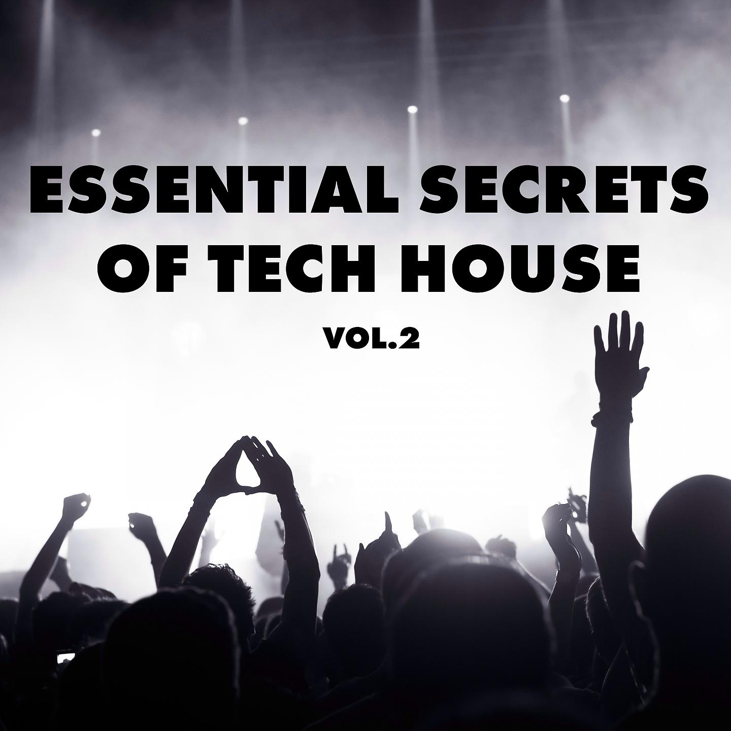 Постер альбома Essential Secrets of Tech House, Vol. 2