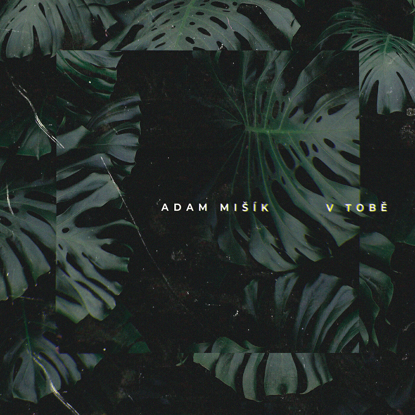 Adam Mišík - V tobě