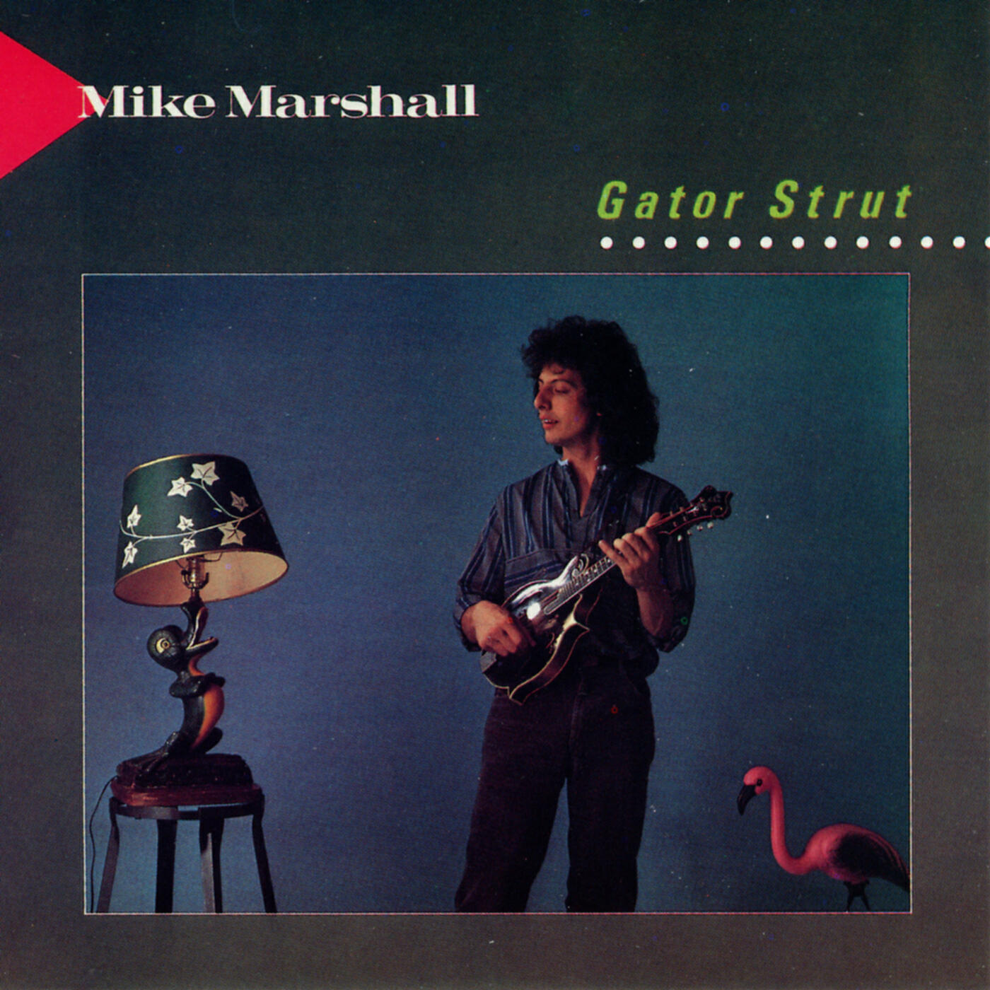 Mike Marshall - Gator Strut