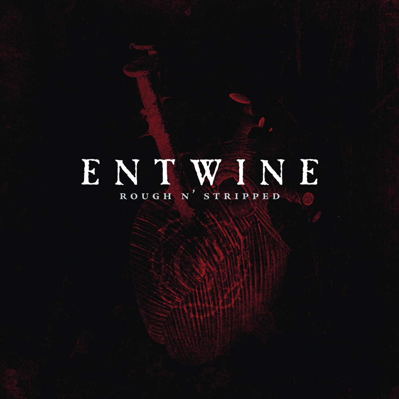 Entwine - Lost In My Denial
