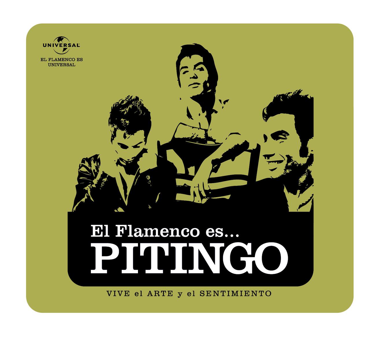 Постер альбома Flamenco es... Pitingo