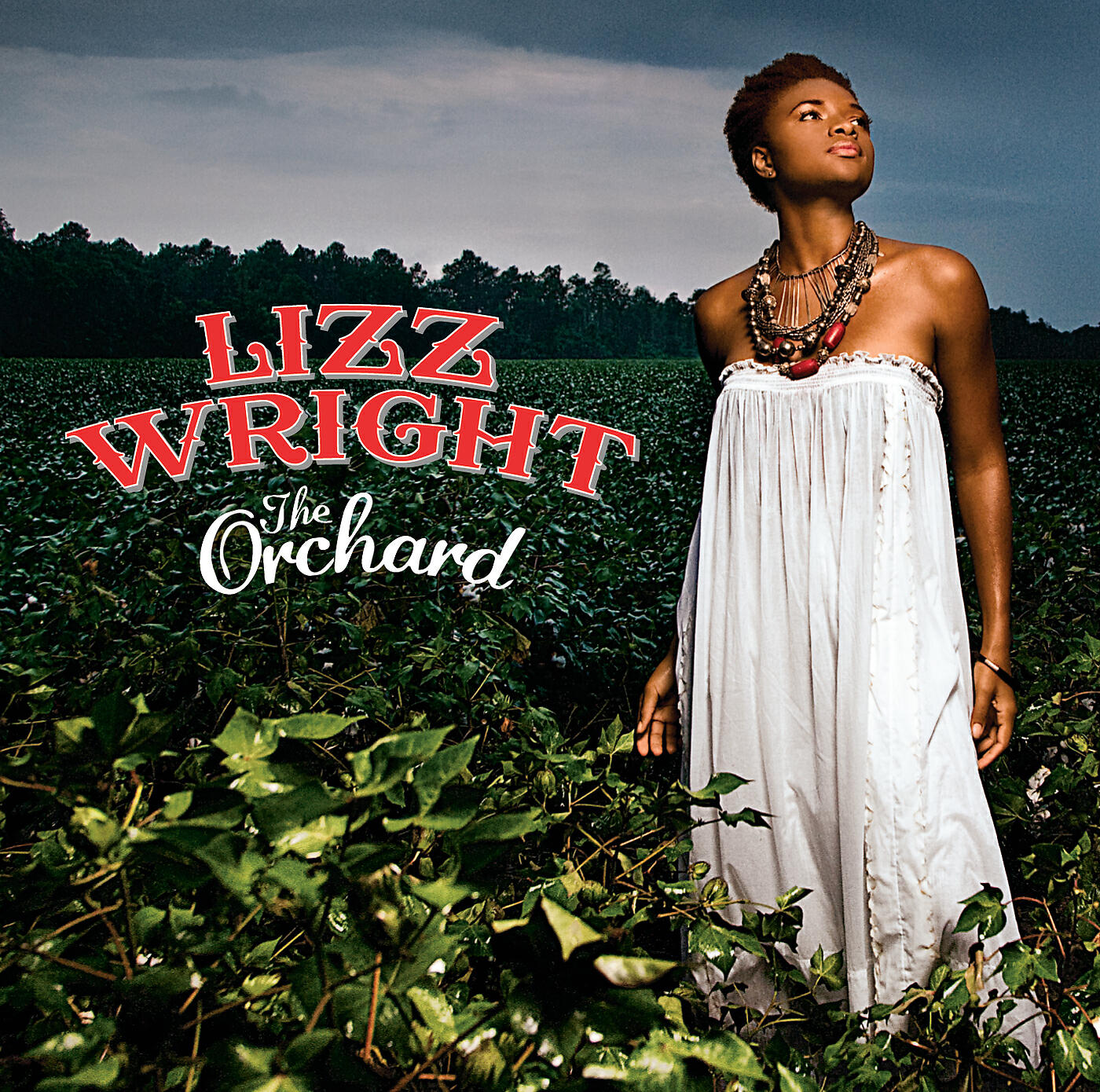Lizz Wright - Coming Home (Album Version)
