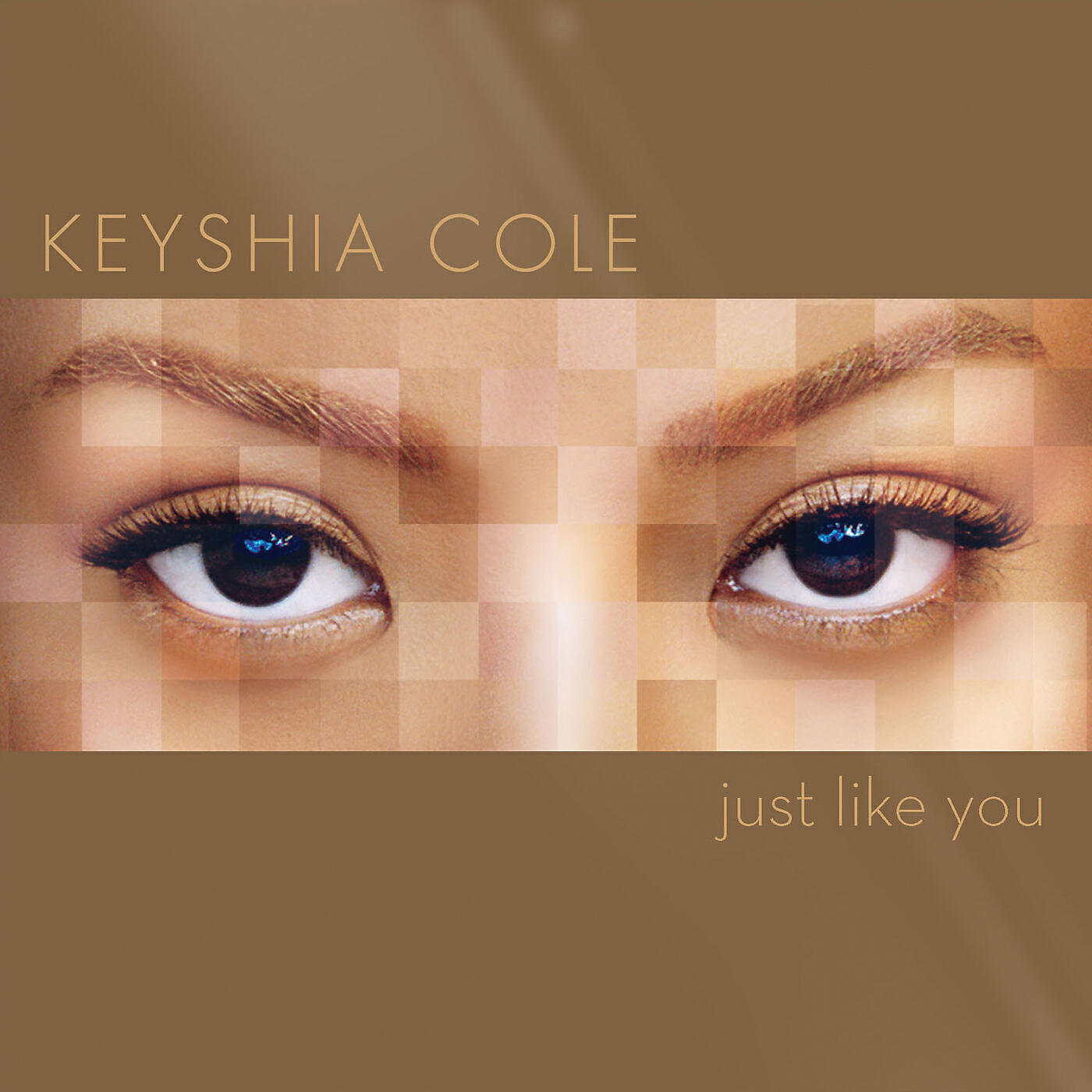 Keyshia Cole - Didn't I Tell You