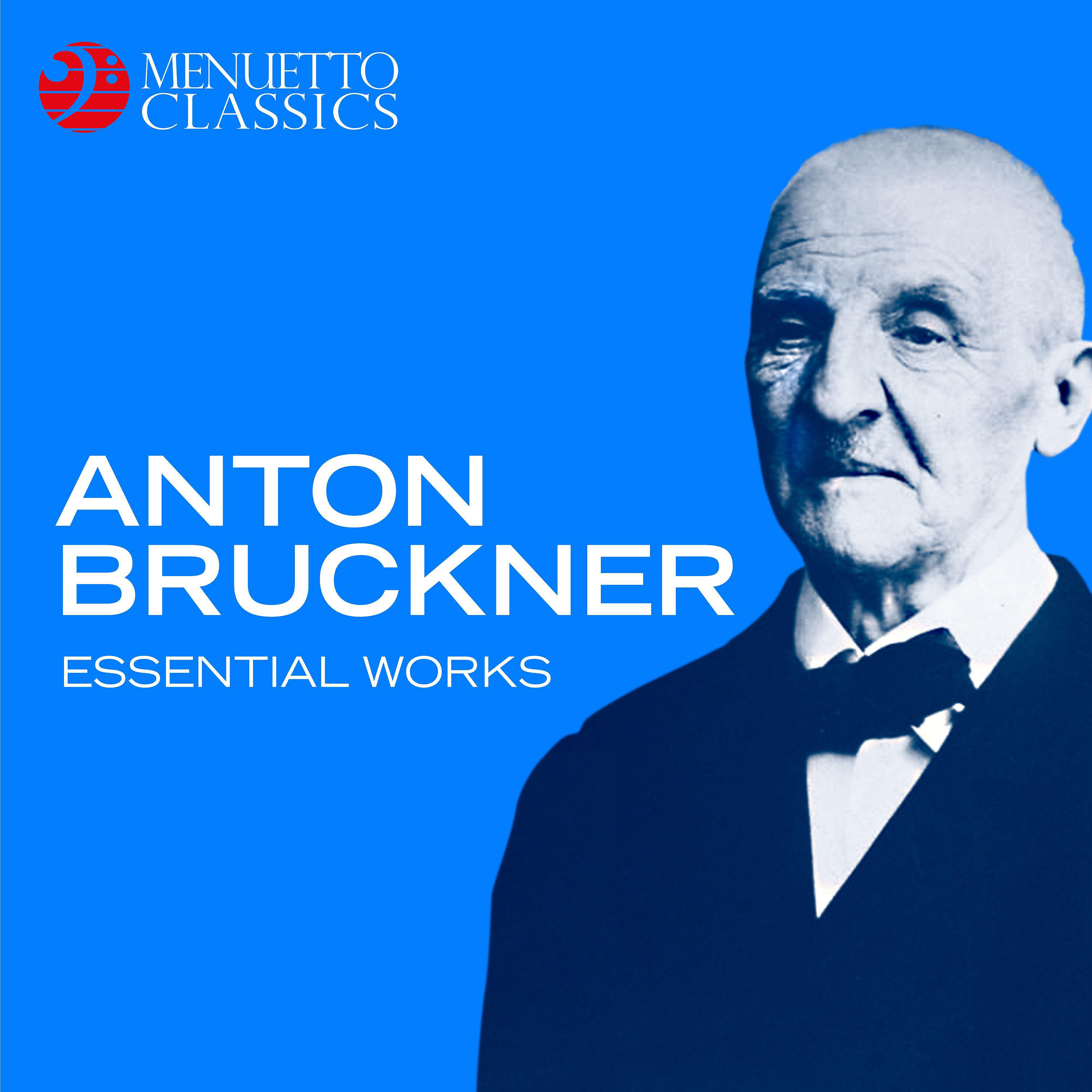 Постер альбома Anton Bruckner: Essential Works