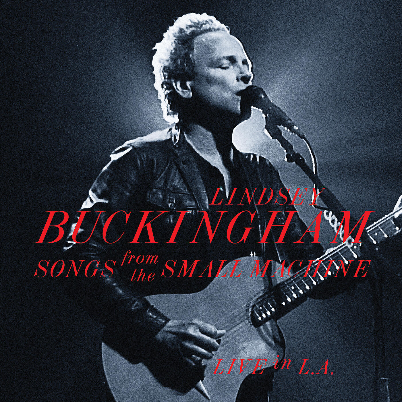 Lindsey Buckingham - All My Sorrows (Live)