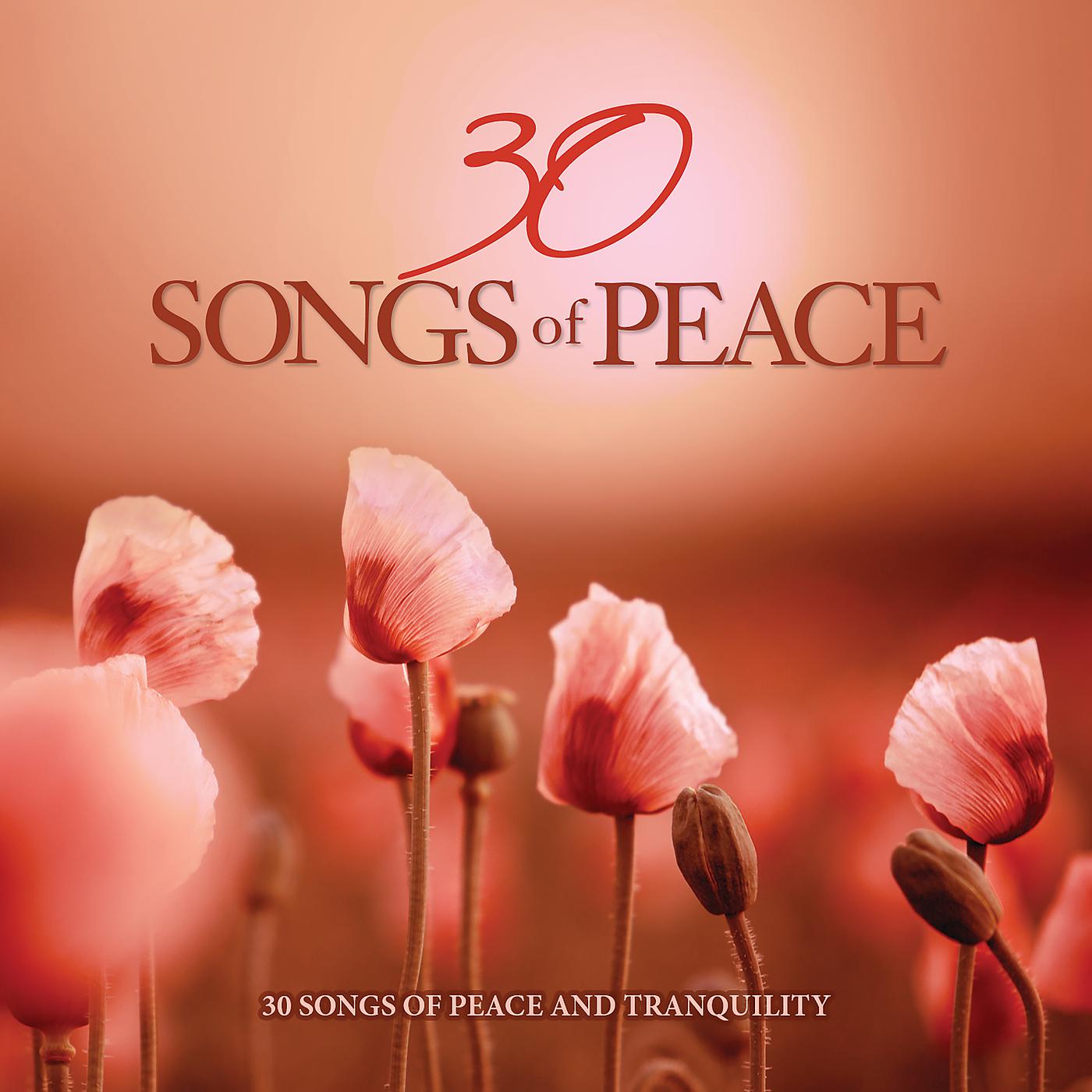 Постер альбома 30 Songs Of Peace