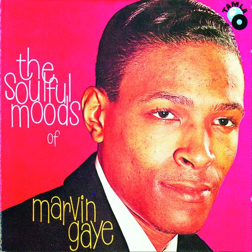 Постер альбома The Soulful Moods Of Marvin Gaye