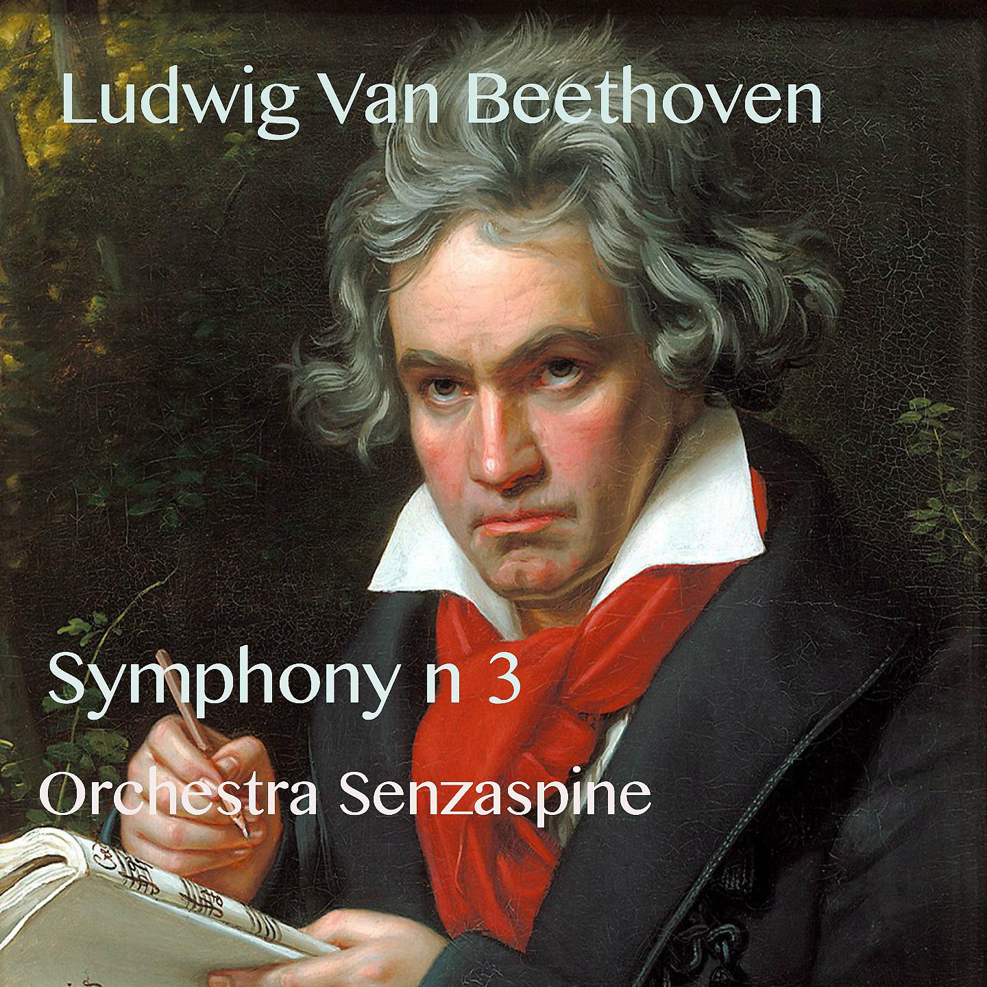 Постер альбома 3rd Symphony