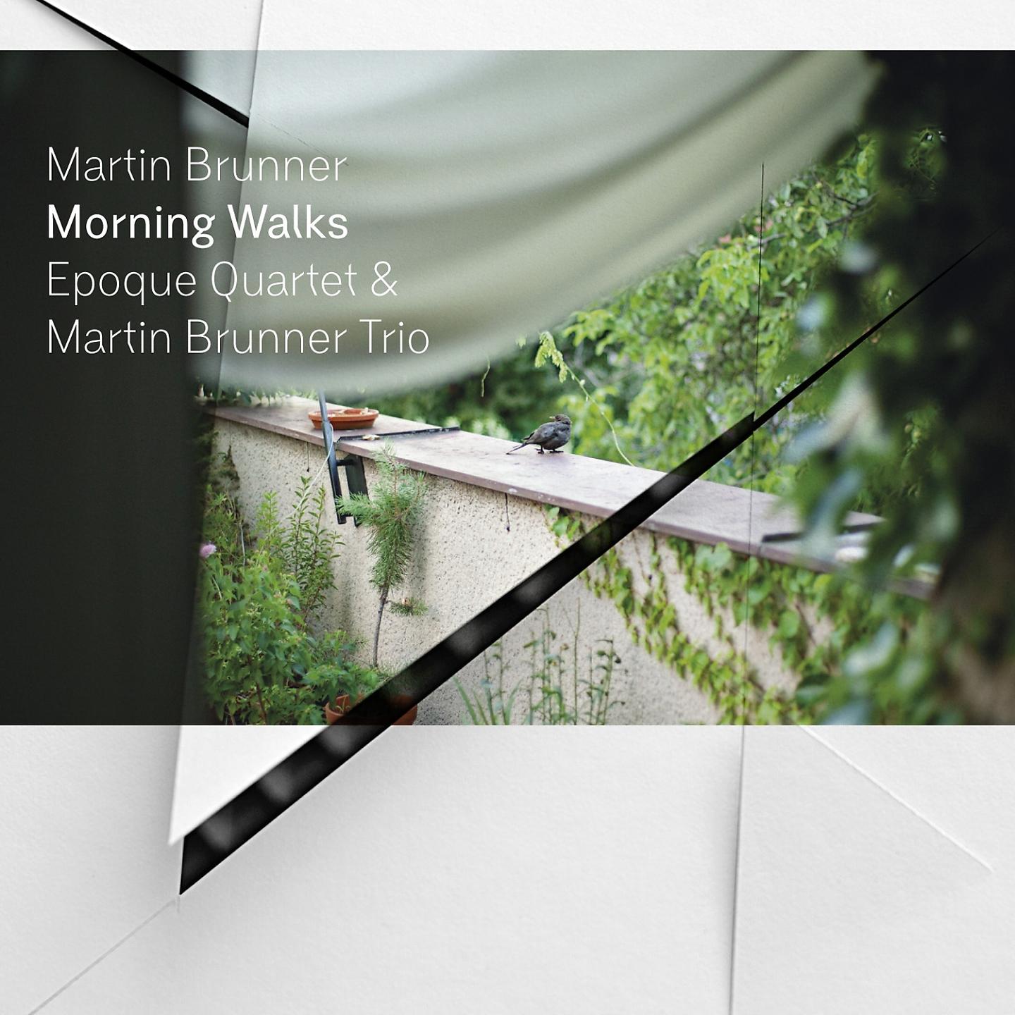 Постер альбома Morning Walks