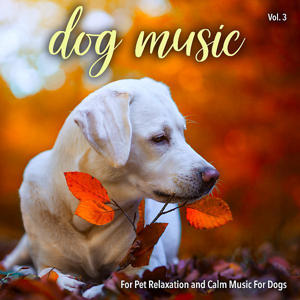 Постер альбома Dog Music For Pet Relaxation and Calm Music For Dogs, Vol. 3