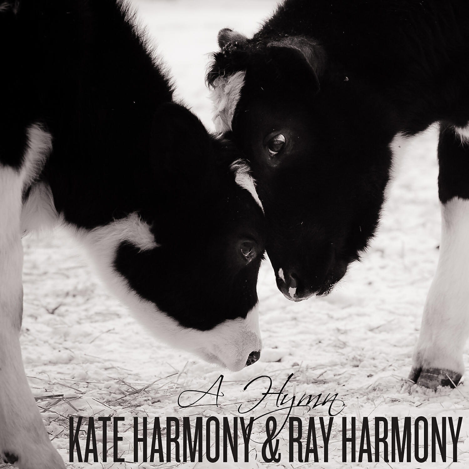 RAY HARMONY - A Hymn (World Vegan Day Anthem)