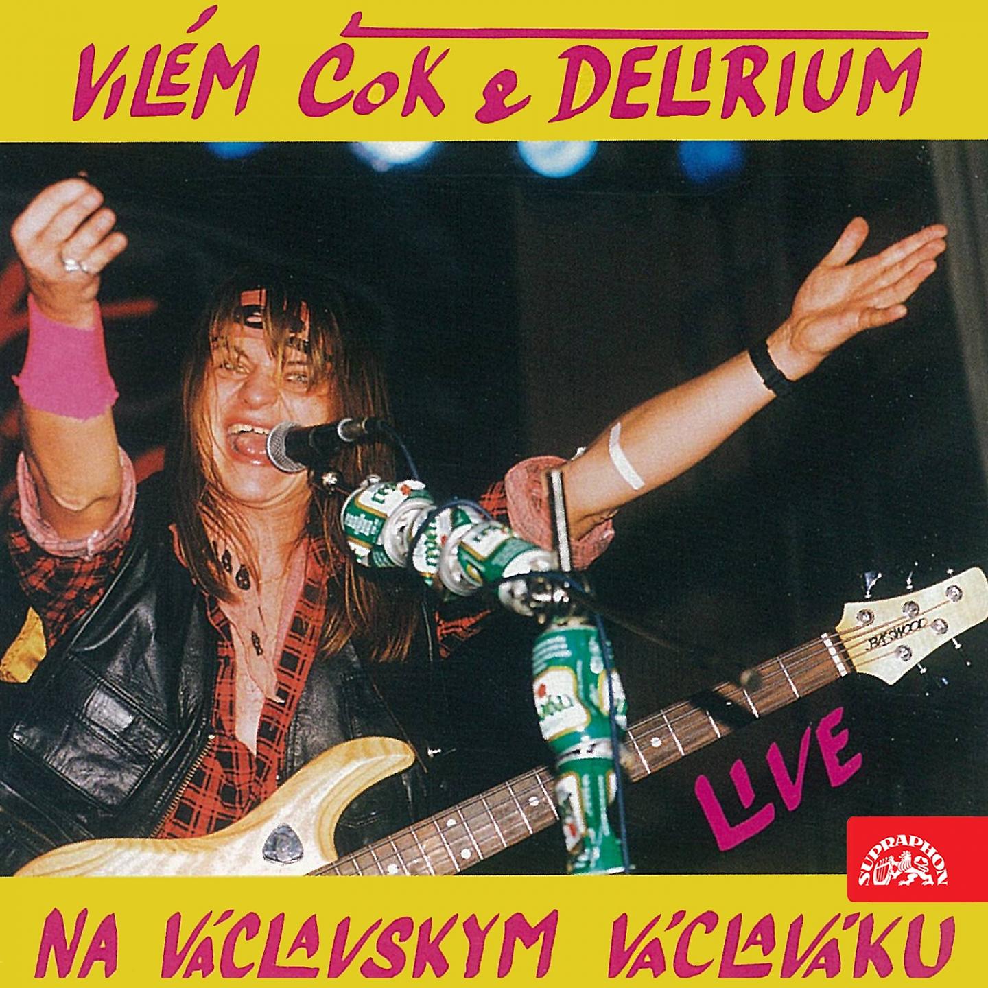Постер альбома Na Václavskym Václaváku