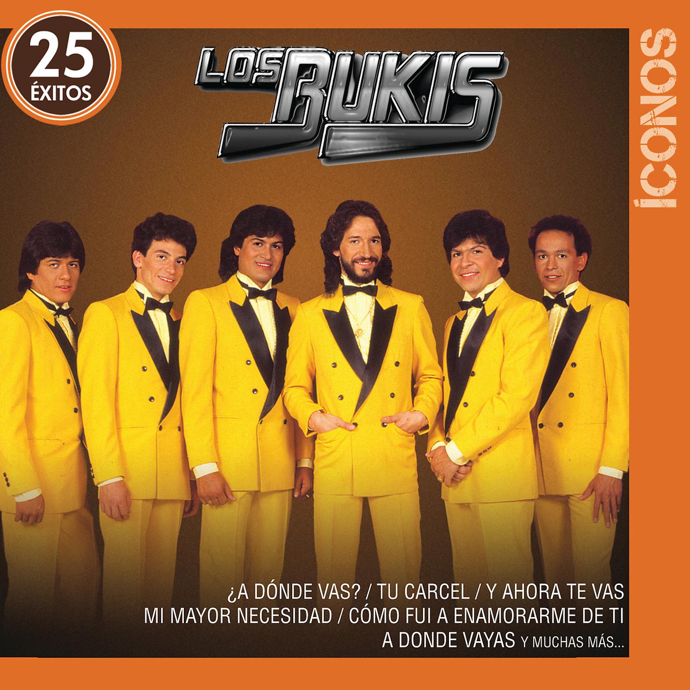 Постер альбома Íconos 25 Éxitos