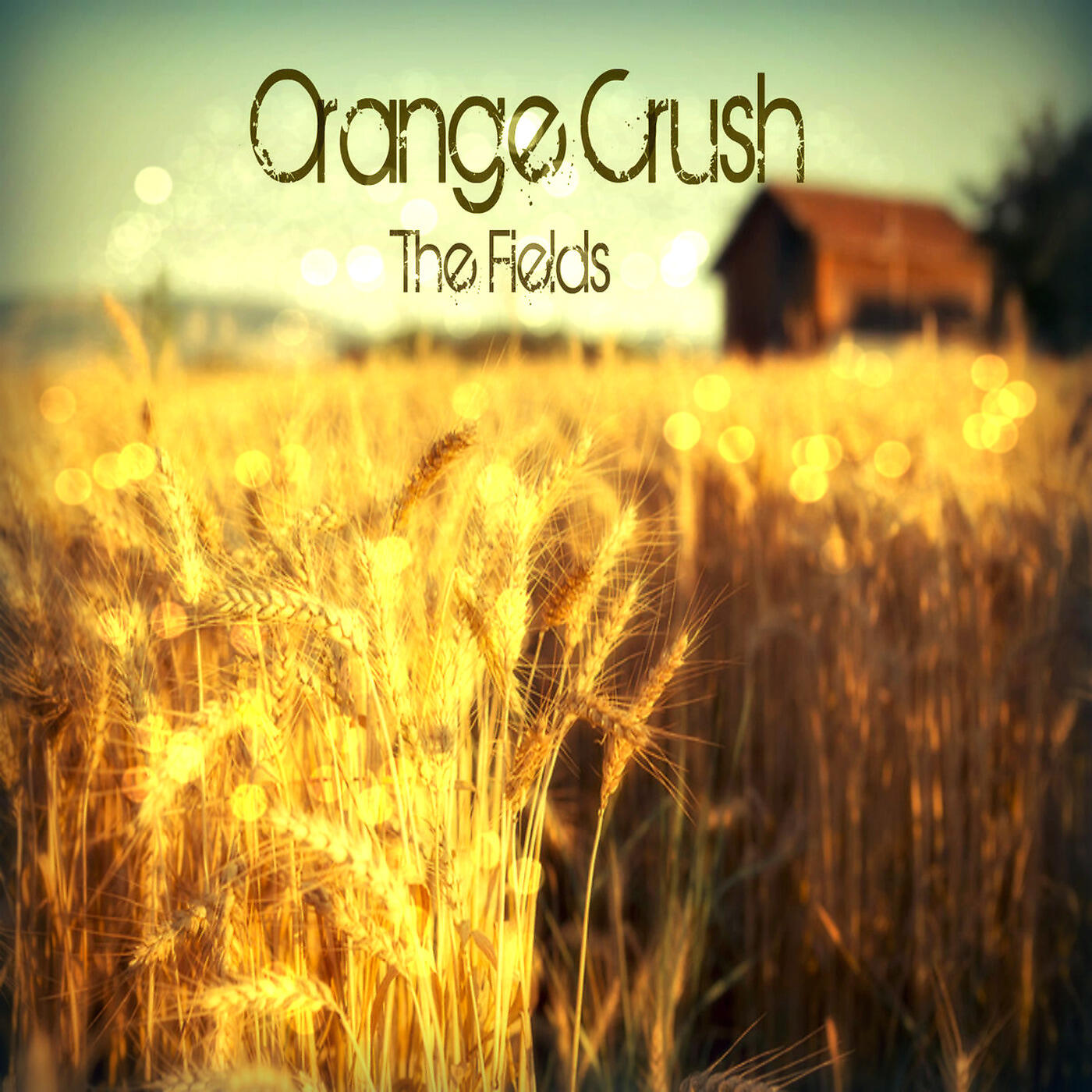 Orange Crush - Waterflow