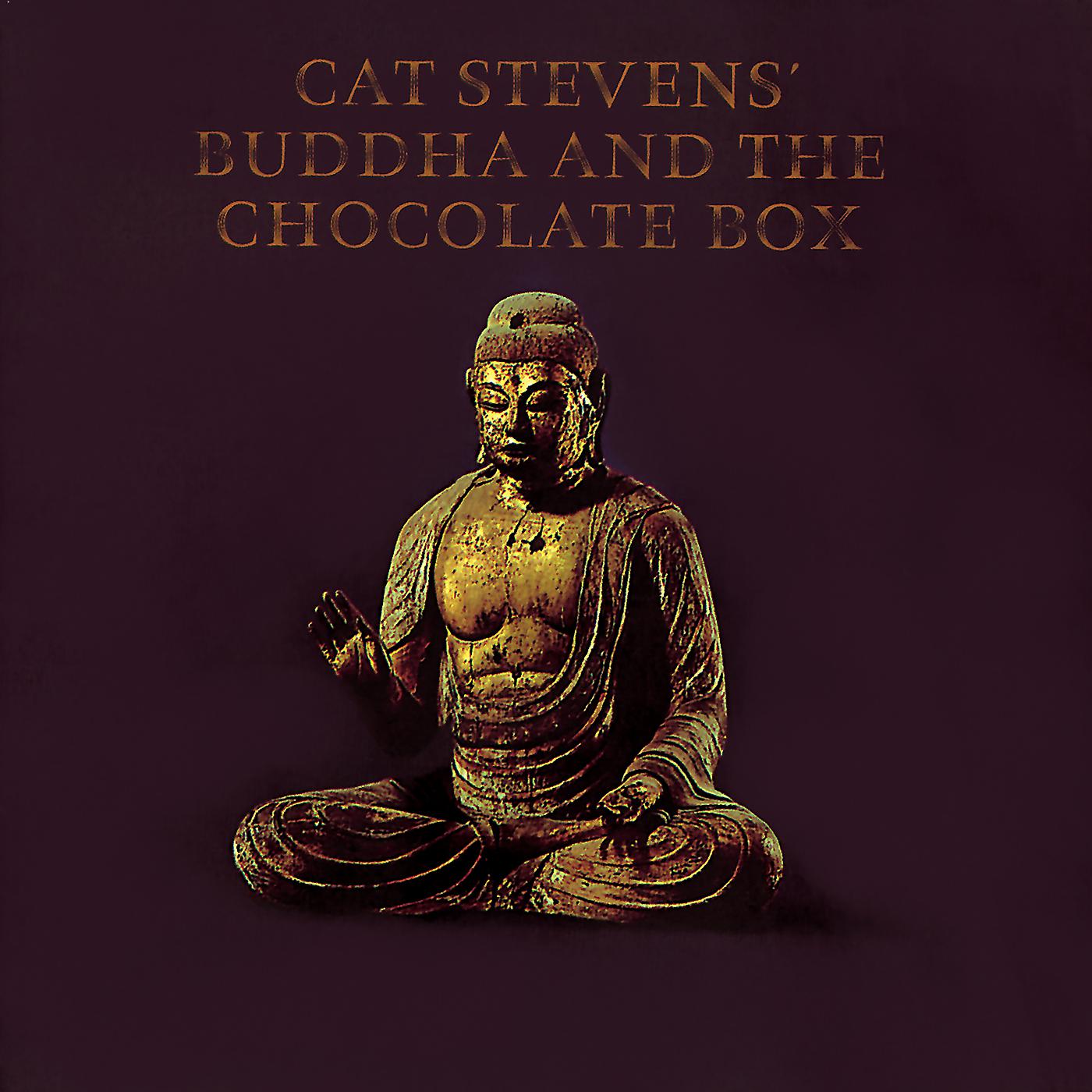 Постер альбома Buddha And The Chocolate Box