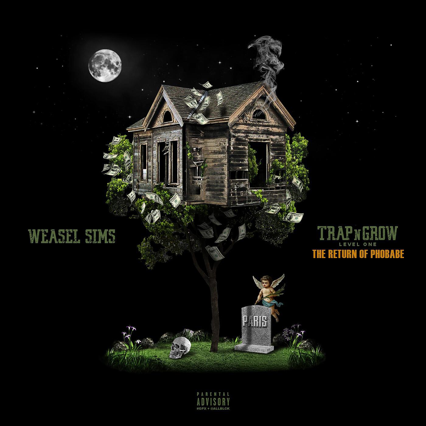 Weasel Sims - Expensive Taste