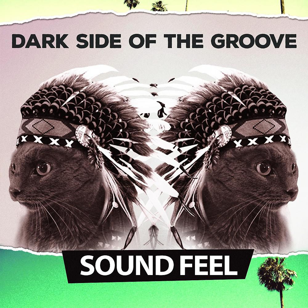 Постер альбома Dark Side of the Groove