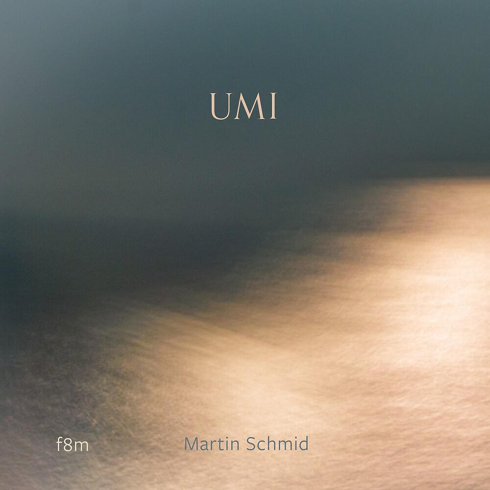 Martin Schmid - A Net of Nets (Umi 9)