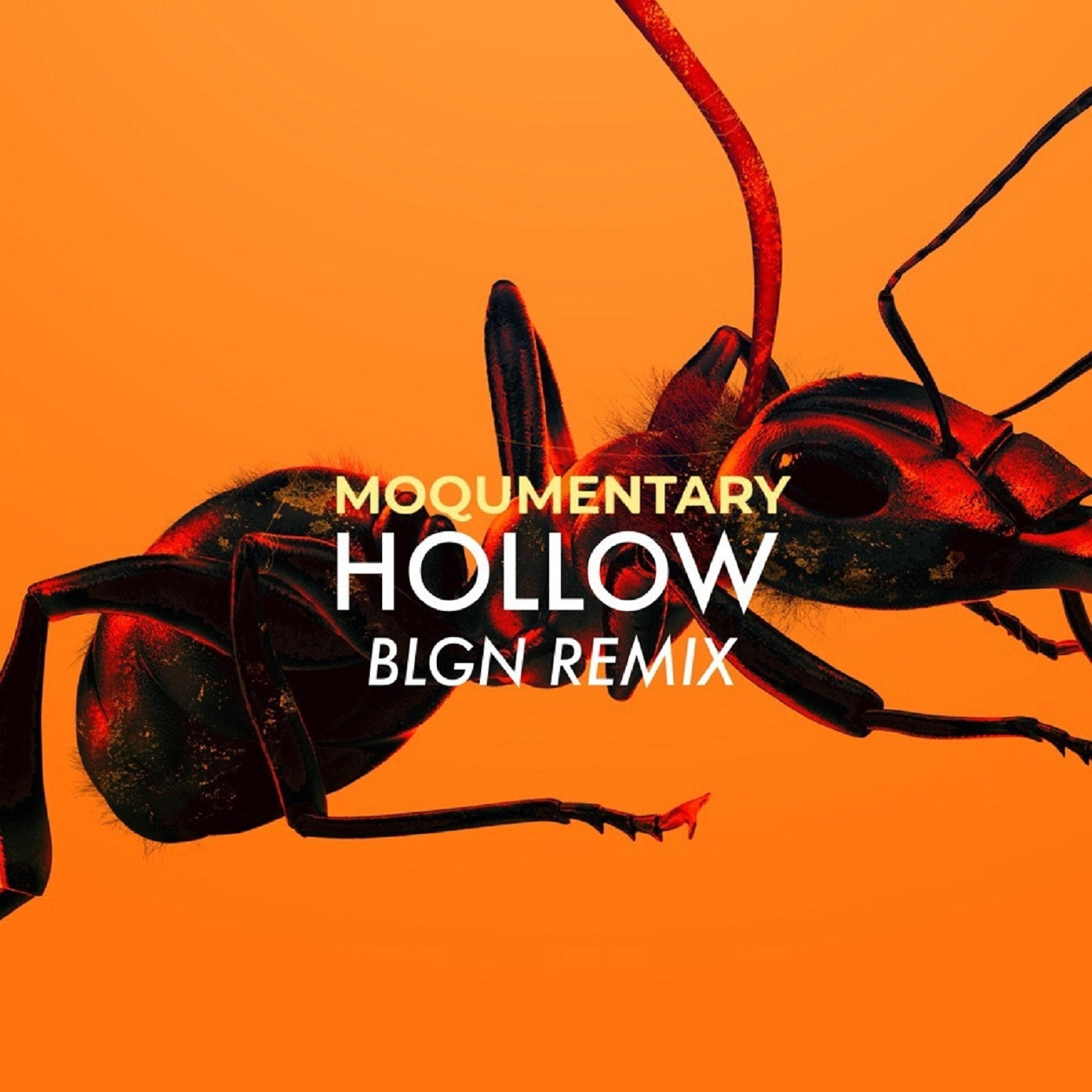 Постер альбома Hollow (Blgn Remix)