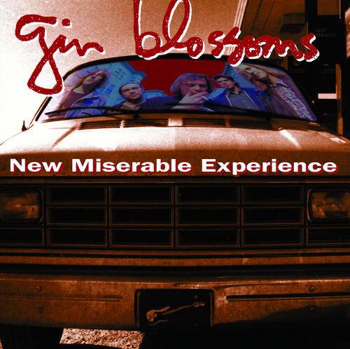 Gin Blossoms - Lost Horizons