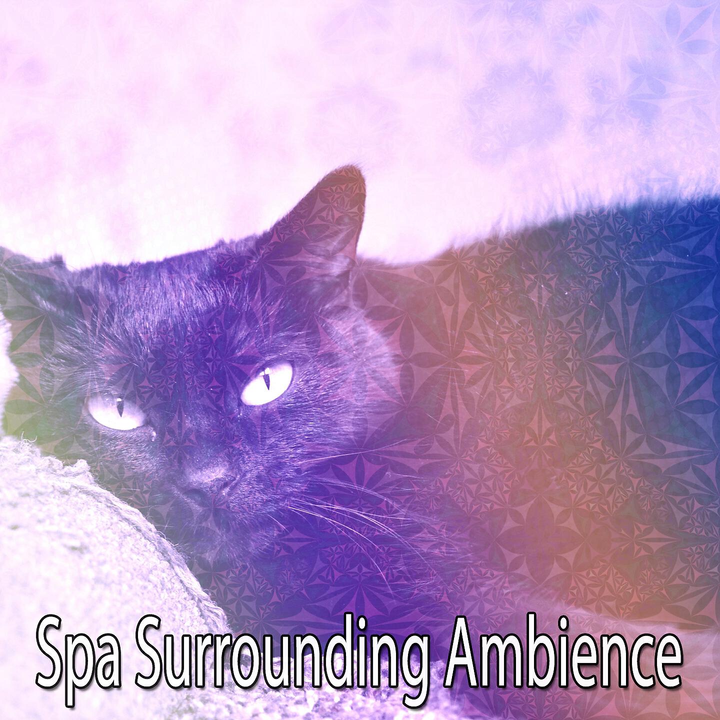 Serenity Spa Music Relaxation - White Noise Upon The Sea