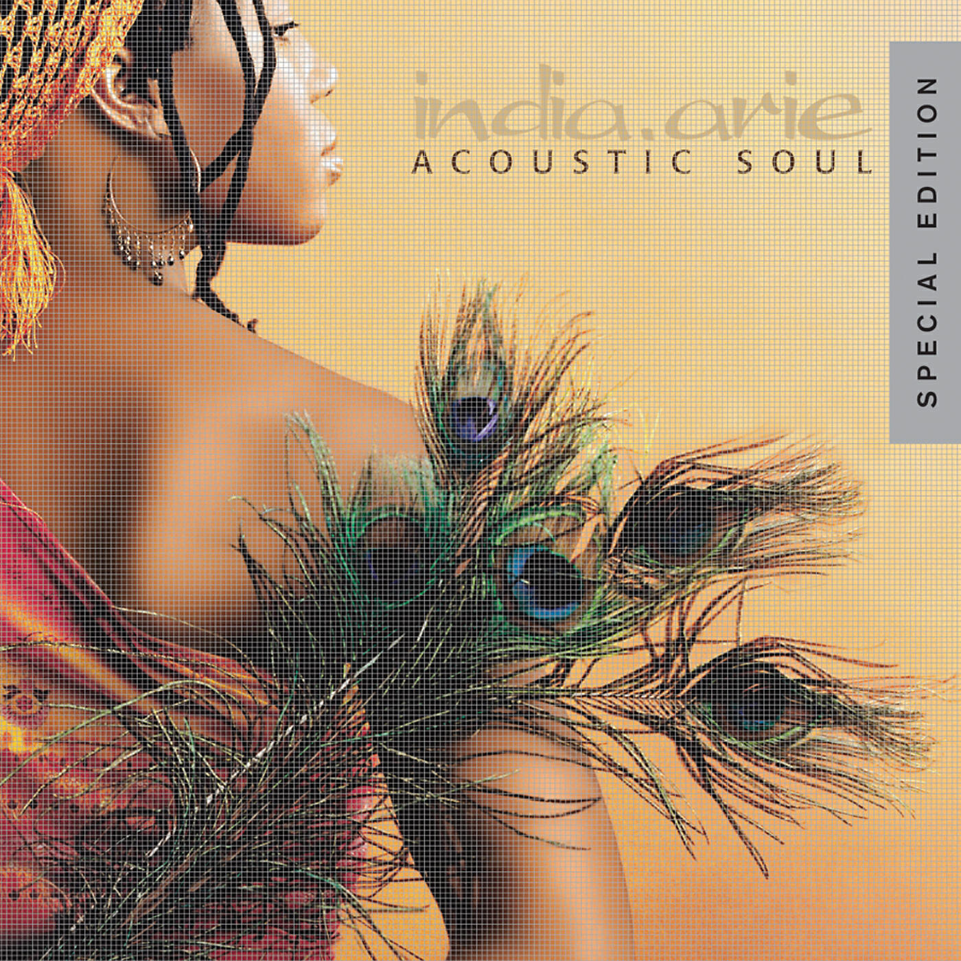 India.Arie - Strength Courage & Wisdom (Live (2001/Amsterdam))