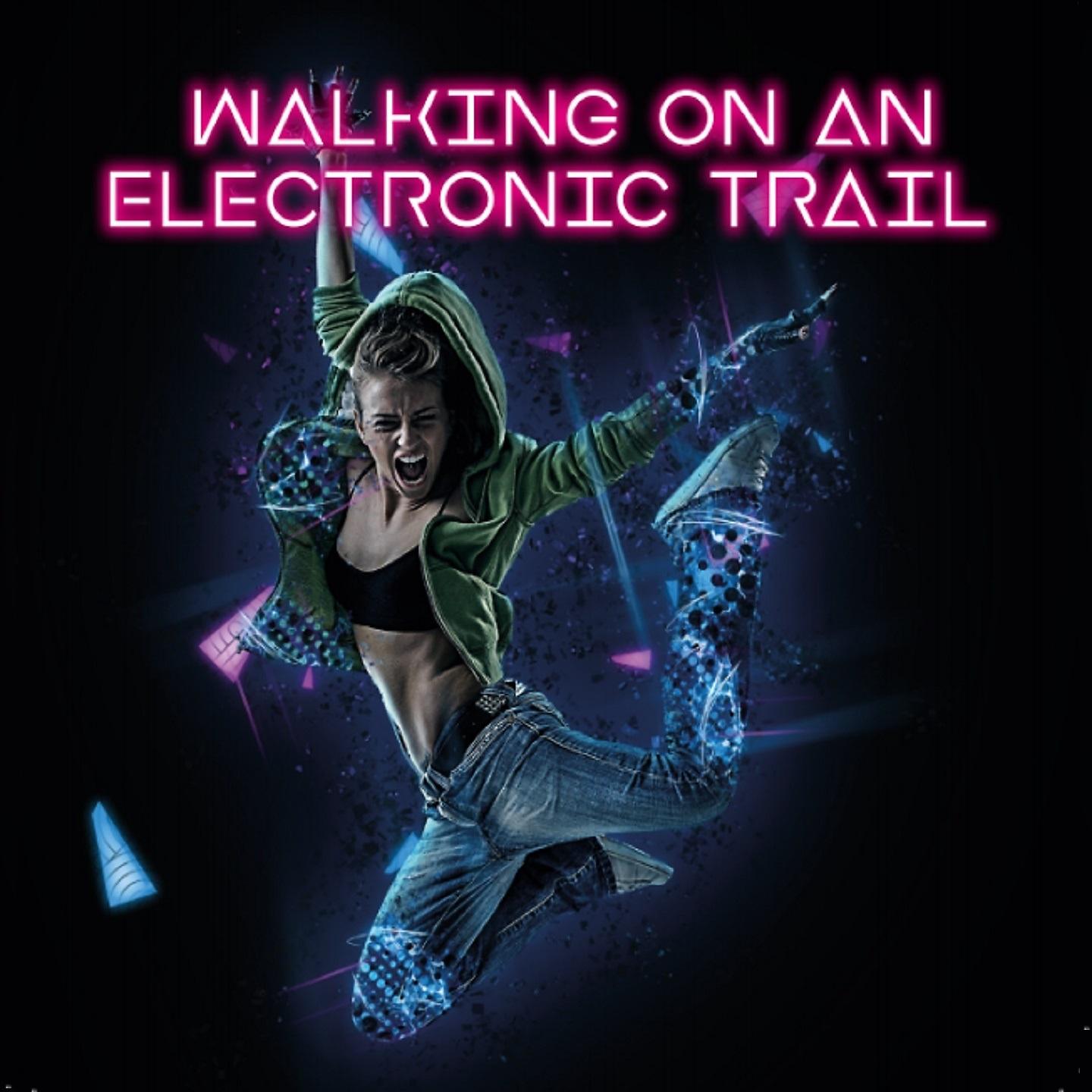 Постер альбома Walking on an Electronic Trail