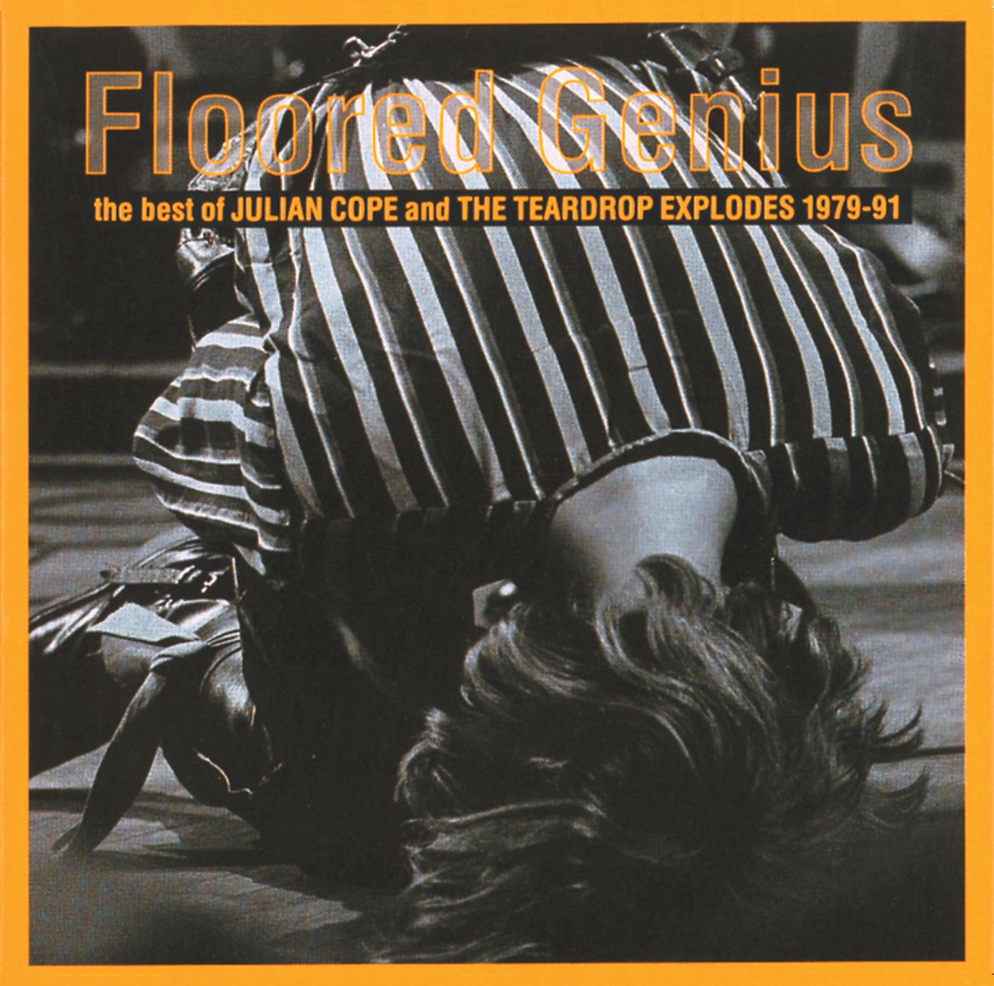 Постер альбома Floored Genius: The Best Of Julian Cope And The Teardrop Explodes 1979-91