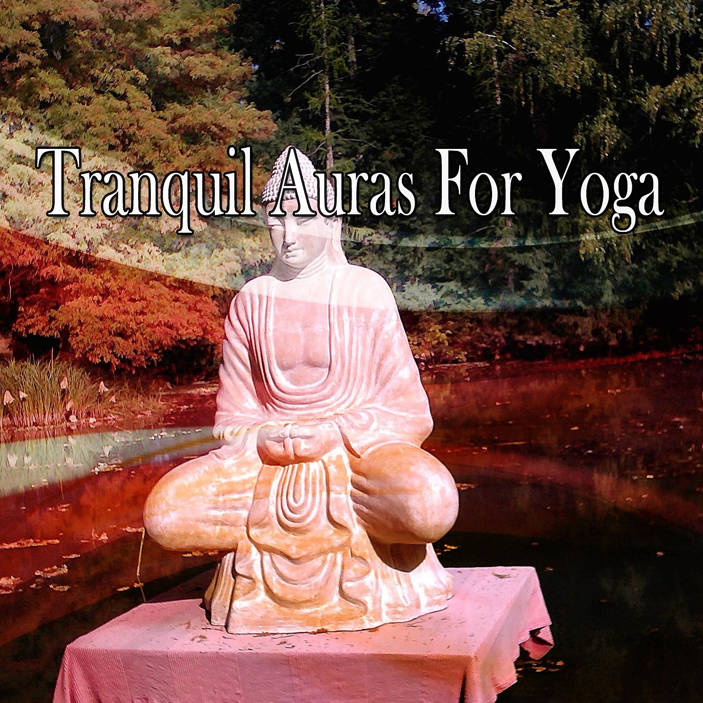 Постер альбома Tranquil Auras For Yoga