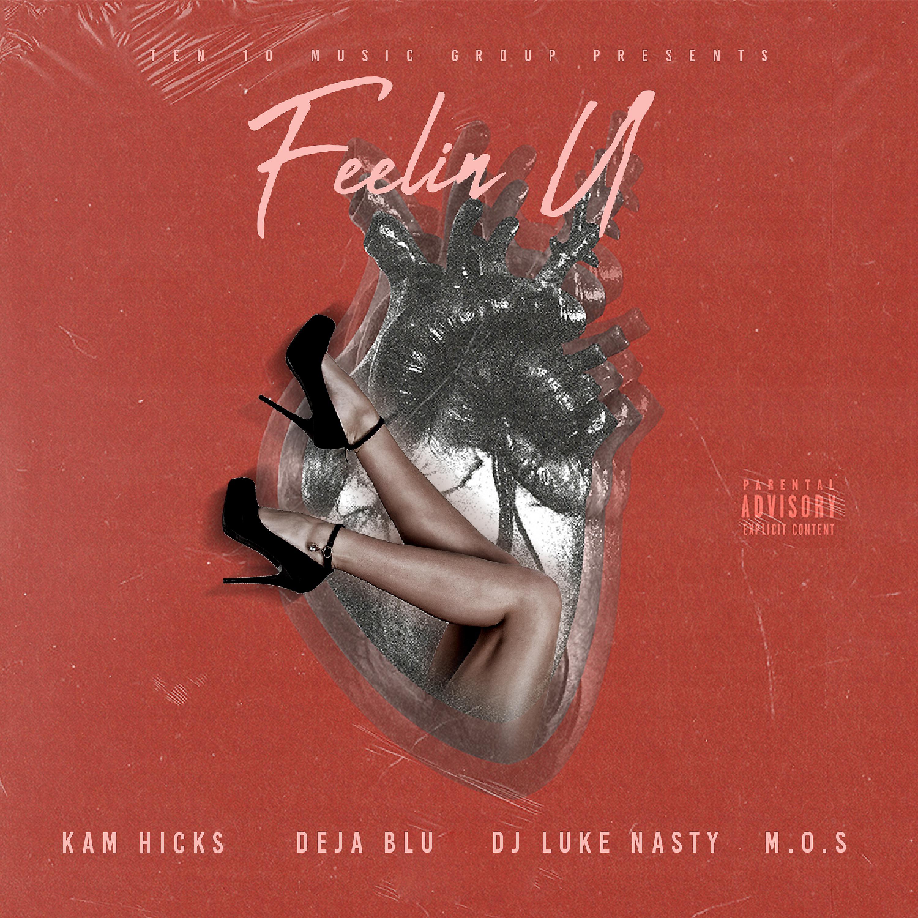 Постер альбома Feelin U (feat. Deja Bluu, DJ Luke Nasty & M.O.S)