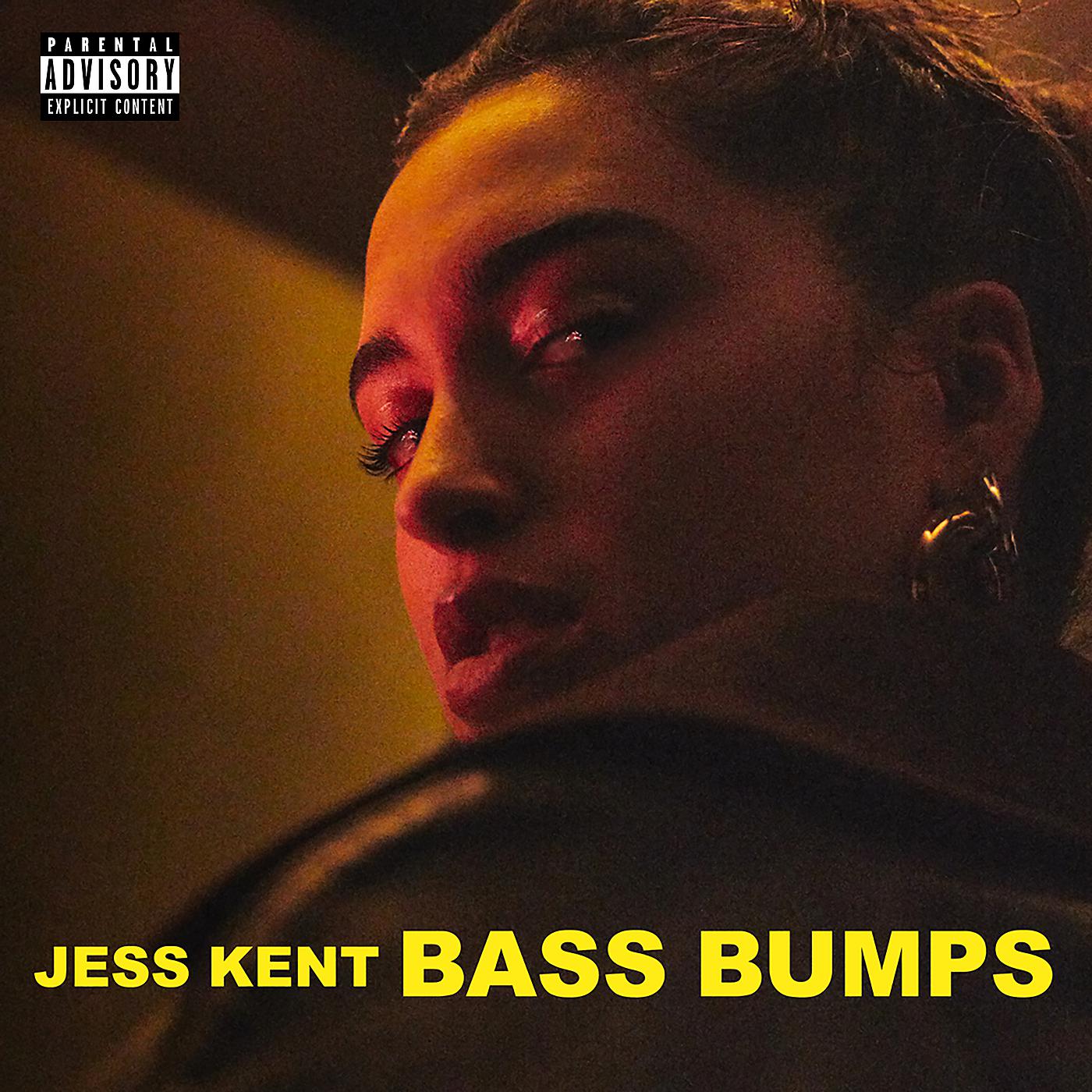 Постер альбома Bass Bumps