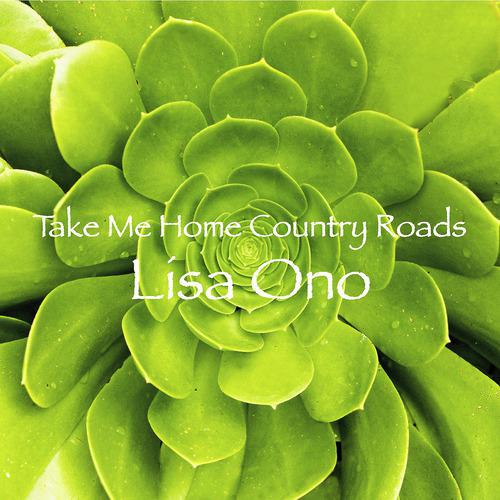 Постер альбома Take Me Home Country Roads