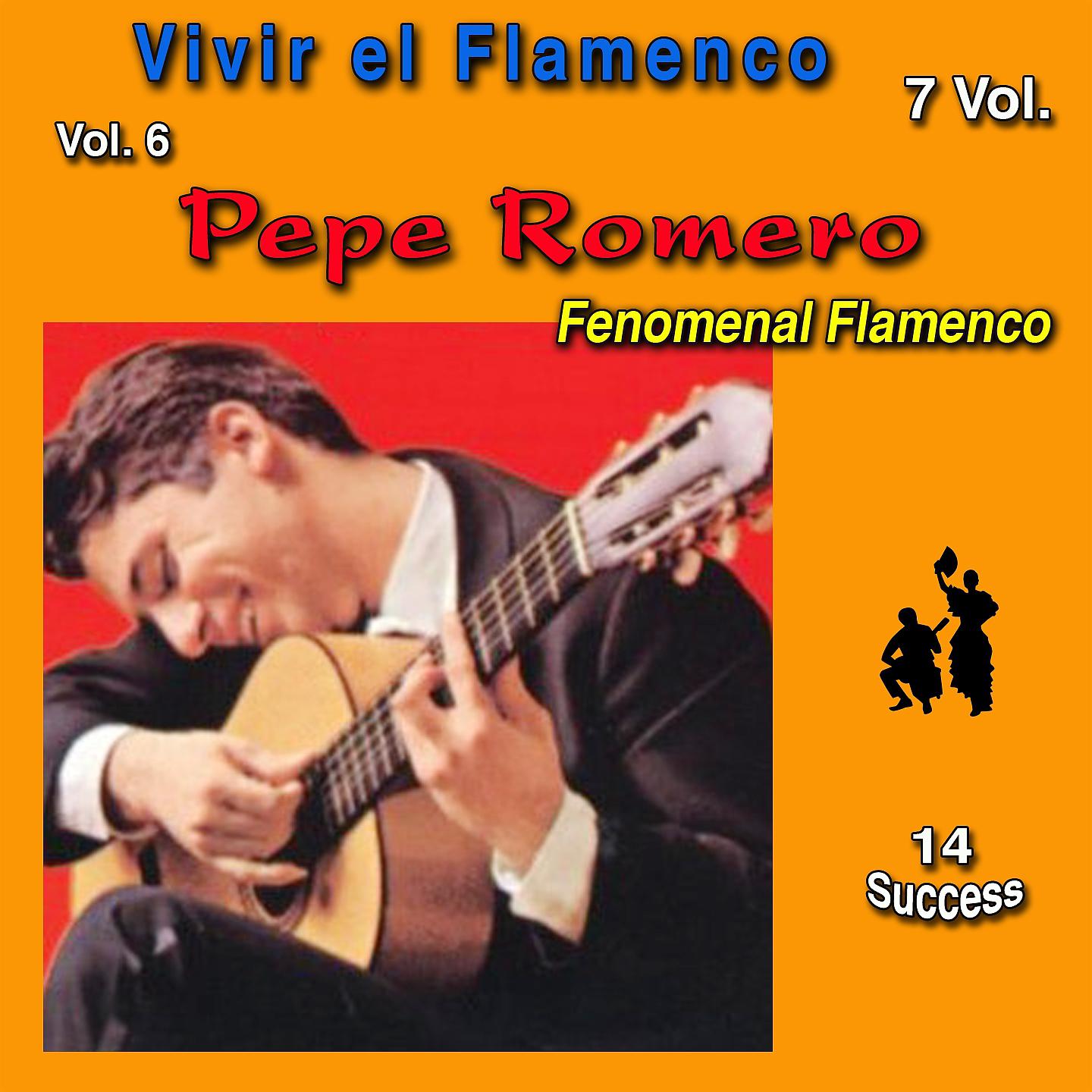 Постер альбома Vivir el Flamenco, Vol. 6 (Fenomenal Flamenco) (14 Sucess)