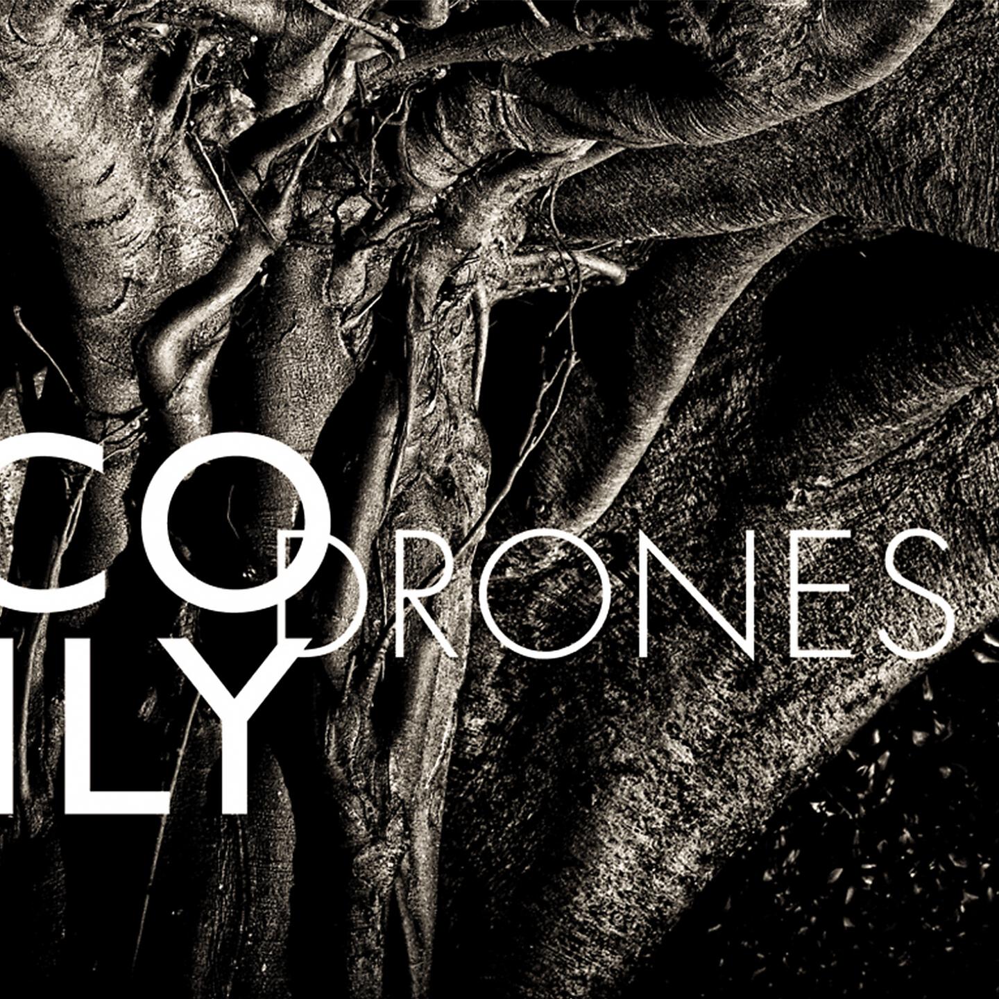 Nico Muhly - Drones & Viola: Part I Material in D