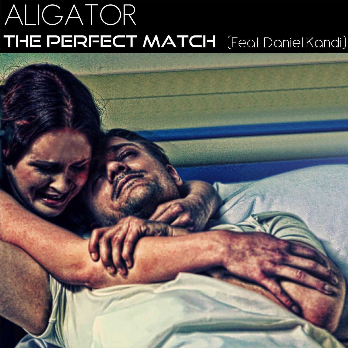 DJ Aligator - The Perfect Match (Stavstrup & Sieber Remix)
